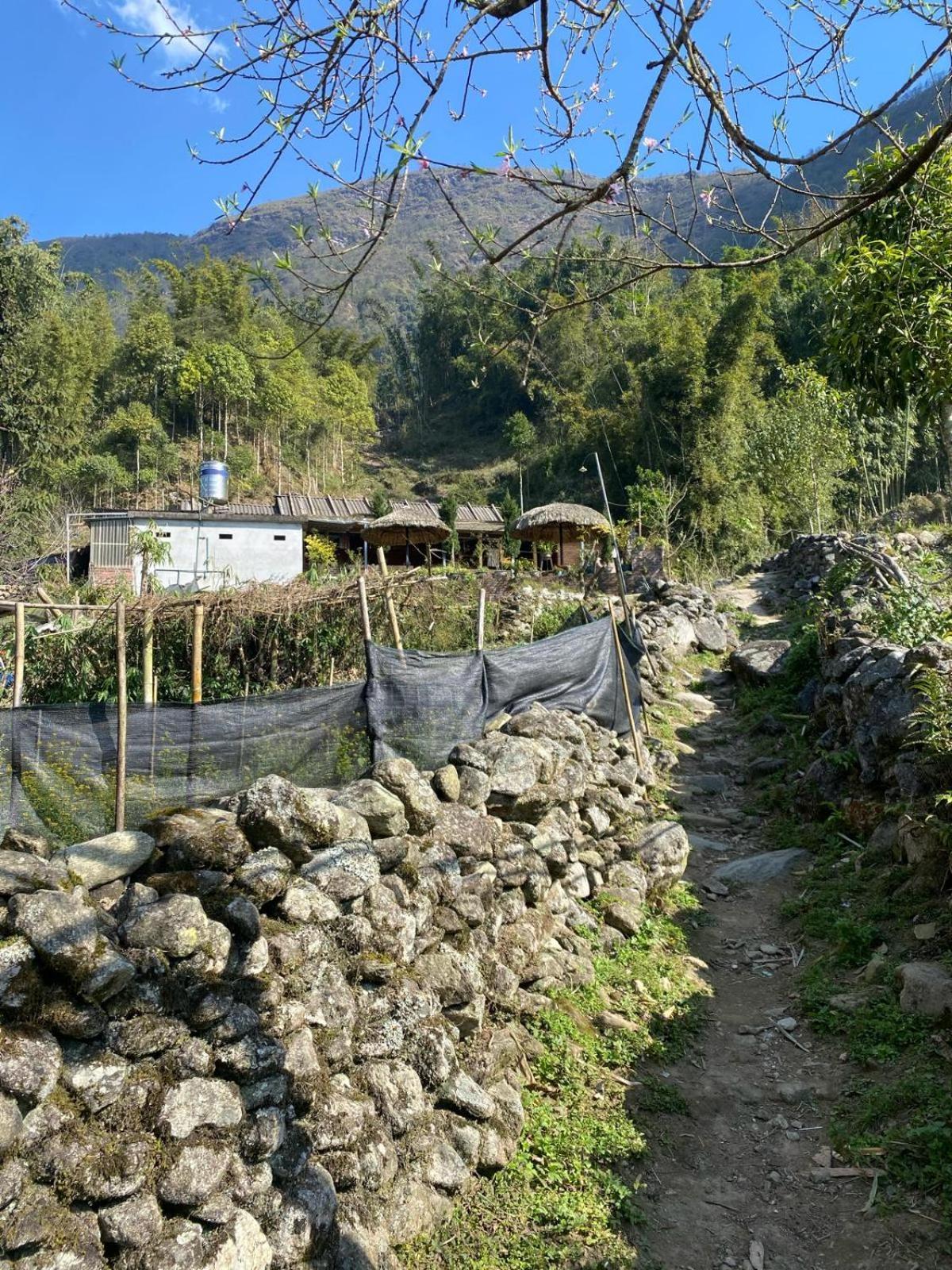 Sue Pa Family Trekking Homestay Sa Pa Exterior foto