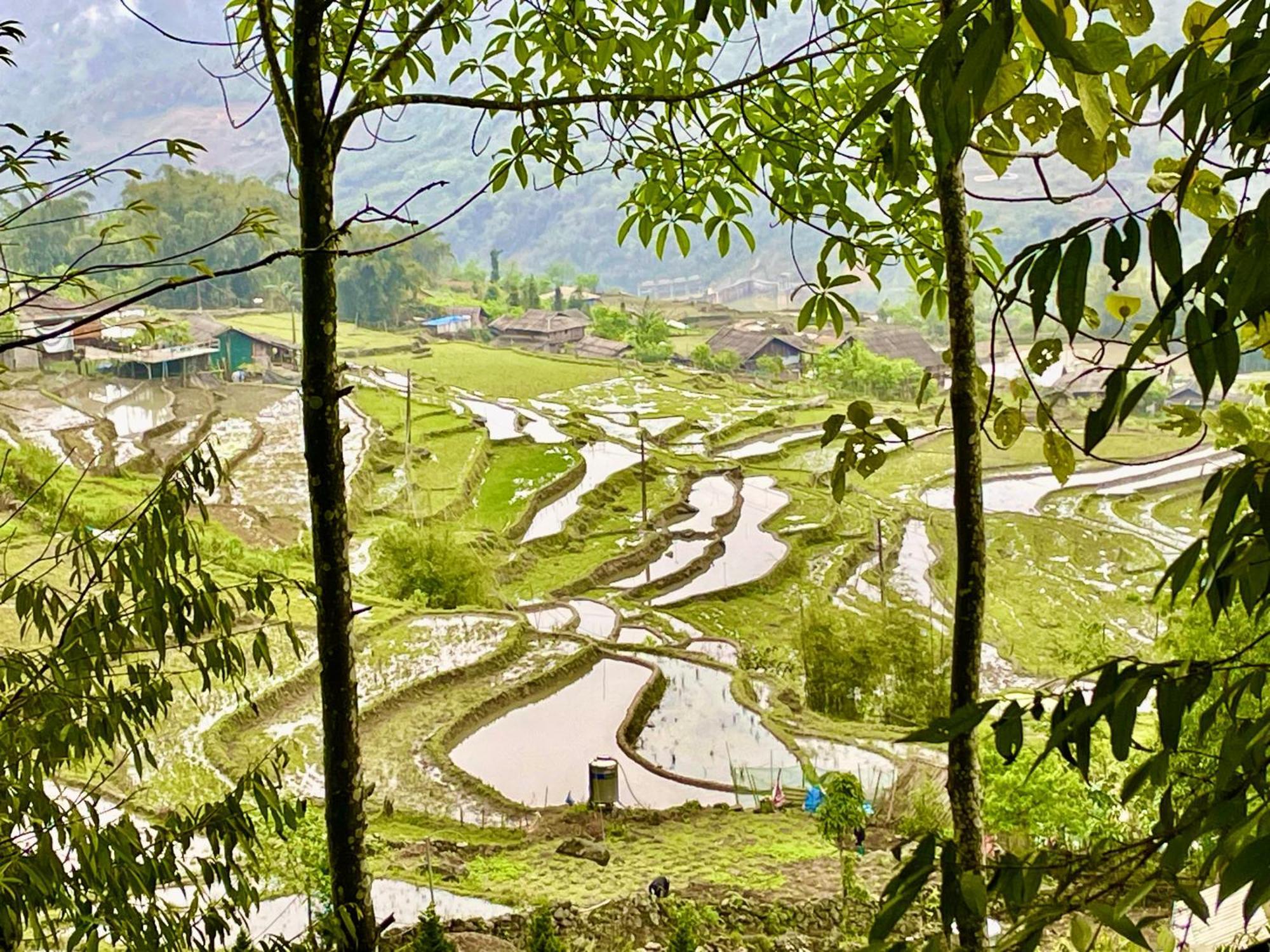 Sue Pa Family Trekking Homestay Sa Pa Exterior foto