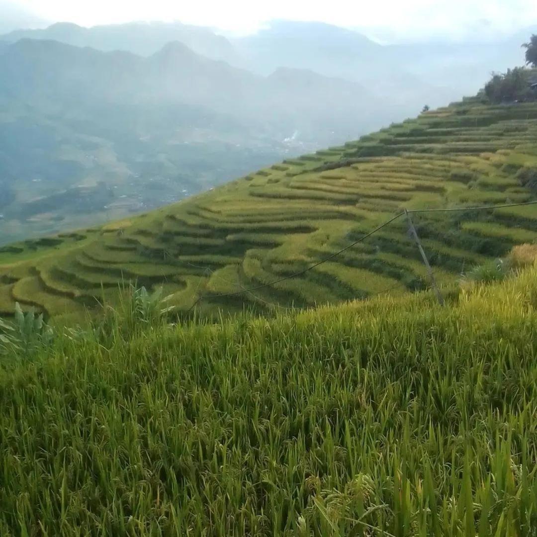 Sue Pa Family Trekking Homestay Sa Pa Exterior foto
